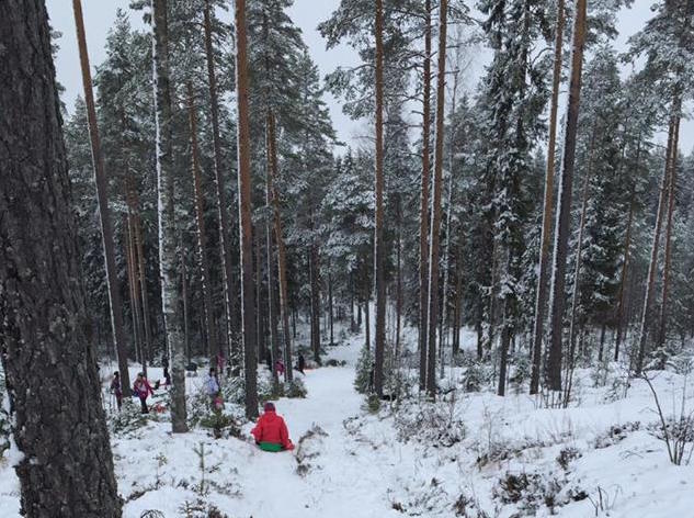 maenlaskutapahtuma2016